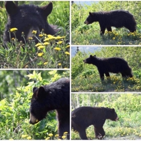 MEET THE POSHERS - Picture 12 of 16